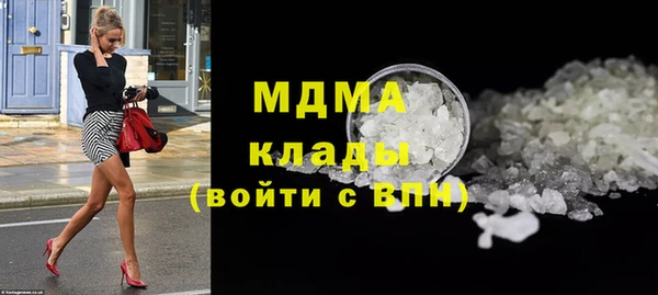 прущие грибы Бородино