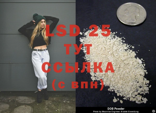 прущие грибы Бородино