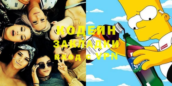 прущие грибы Бородино