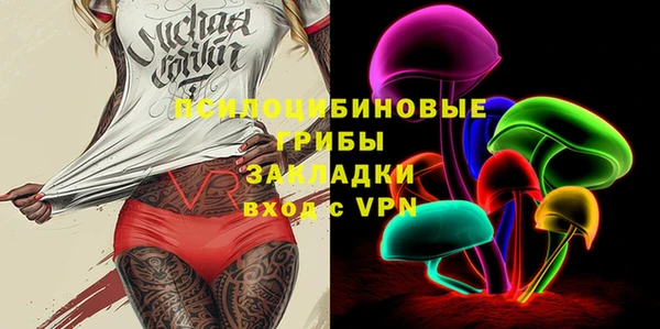 прущие грибы Бородино