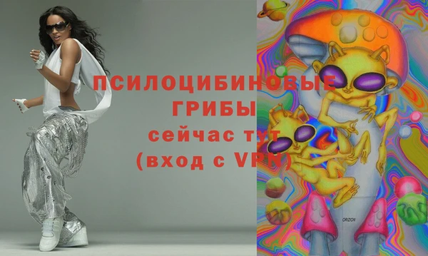 герыч Бронницы